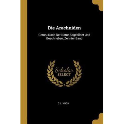 Die Arachniden, Taschenbuch von C. L. Koch, Creative Media Partners, LLC, 978-0-270-11098-2