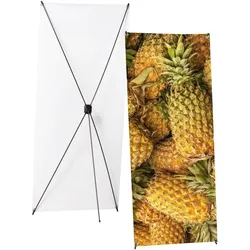 X-Banner Budget 60x160cm