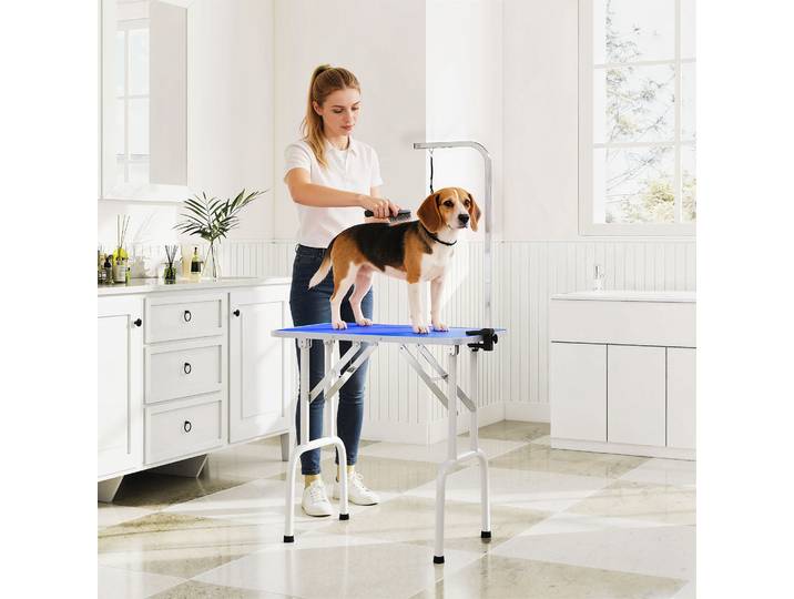 PawHut Table Toilettage Chien Pliante Antidérapante 81x48,5x80cm Bleu