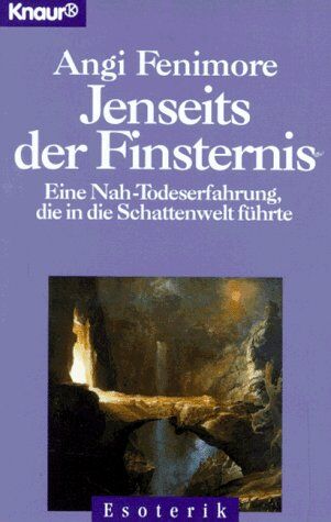 Angie Fenimore - Jenseits der Finsternis. Eine Nah- Todeserfahrung, die in die Schattenwelt führte. - Preis vom 05.10.2026 03:47:11 h
