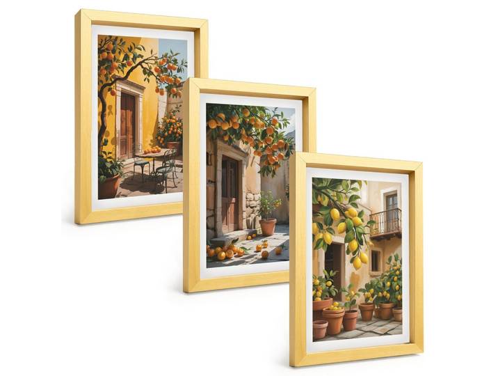 BILDER SET 3er Set - 20x30 cm Goldrahmen - Zitrusfrüchte, Hofpflanzen