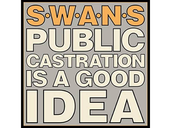 Public Castration Is a Good Idea