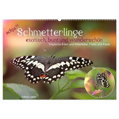 achja?! Schmetterlinge, exotisch, bunt und wunderschön (Wandkalender 2027 DIN A2 quer), CALVENDO Monatskalender