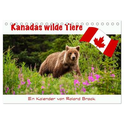 Kanadas Wilde Tiere (Tischkalender 2026 DIN A5 quer), CALVENDO Monatskalender