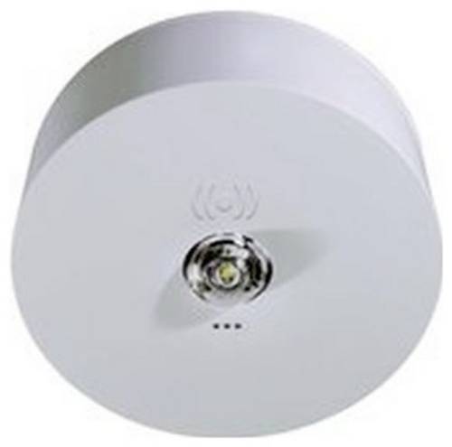 RP Technik ILDK423SC LED-Notleuchte Deckenmontage Rettungsweg