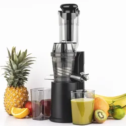 H.Koenig Vertikale Kompakt-Saftpresse GSX16 / 0,8 L / Edelstahl / BPA-frei / sanfter Druck / langsame Rotation / geräuschlos / 250 W