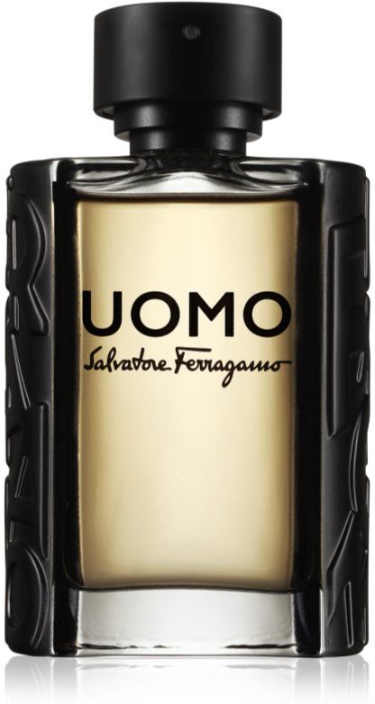 Ferragamo Uomo EDT für Herren 100 ml