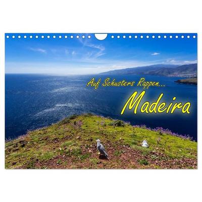 Auf Schusters Rappen... Madeira (Wandkalender 2027 DIN A4 quer), CALVENDO Monatskalender