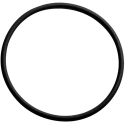 Wolf Dichtung Abgasrohr unten O-Ring 8616312 74x4mm, für CGB-2-38/55