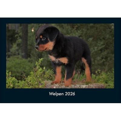 Welpen 2026 Fotokalender DIN A4
