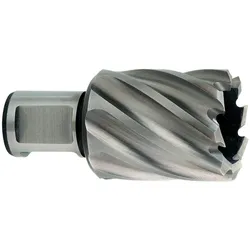 Metabo, Lochsäge, HSSKernbohrer 31x30 (31 mm)