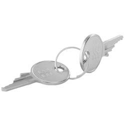 Weidmüller IE-FC-KEY2 2066650000 Ersatzschlüssel 1 St. Piece