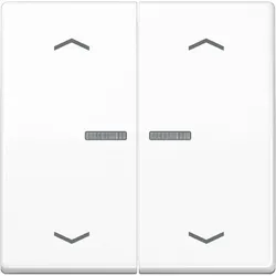 Jung Wippe Symbole/Lichtl.aws AS 591-5 KO5MP WW