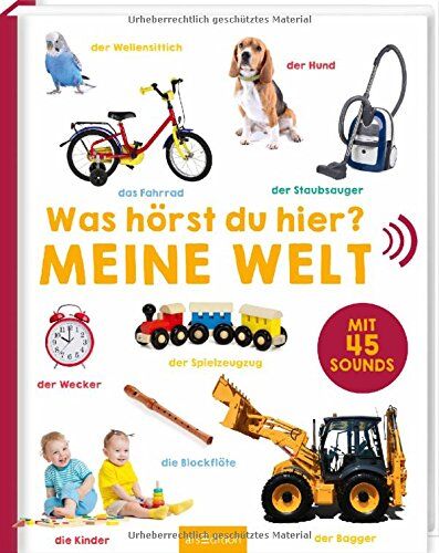 Was hörst du hier? - Meine Welt - Preis vom 11.10.2026 15:43:13 h