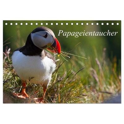 Papageientaucher (Tischkalender 2027 DIN A5 quer), CALVENDO Monatskalender