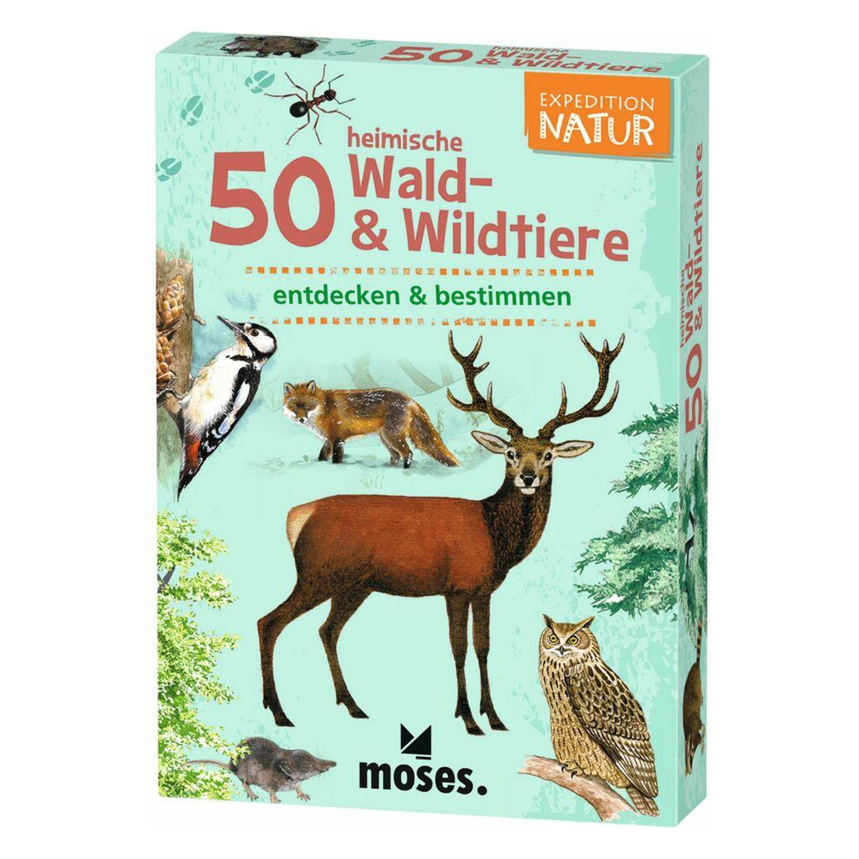 pfister Moses (Deutsch, 1 Spieler) (pfister_7985914)
