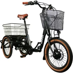 Blaupunkt E-Trike / E-Lastenrad Minna 20 Zoll 250W