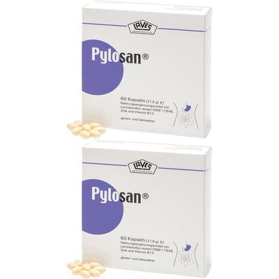 Pylosan Kapseln x2 2x60 St