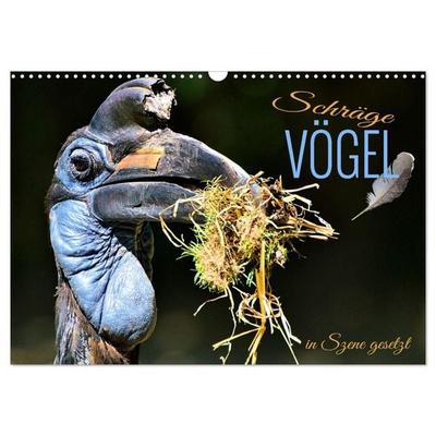 Schräge Vögel in Szene gesetzt (Wandkalender 2027 DIN A3 quer), CALVENDO Monatskalender