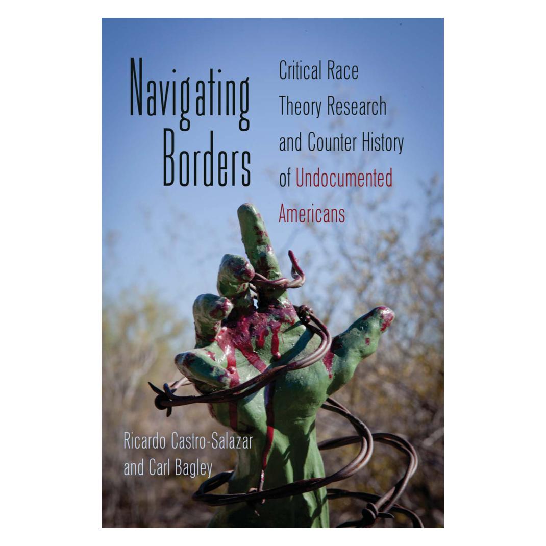 Peter Lang Navigating Borders (Englisch, Softcover, Carl Bagley, Ricardo Castro-Salazar) (56022324)