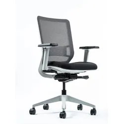 Ergonomischer Schreibtischstuhl - Yaasa Chair Classic, Weiß - Für einzigartigen Sitzkomfort