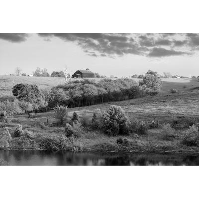 Fototapete PAPERMOON "Landschaft Schwarz & Weiß", schwarz (schwarz, weiß), B:2,5m L:1,86m, Vlies, Tapeten
