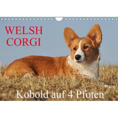 Welsh Corgi - Kobold auf 4 Pfoten (Wandkalender 2022 DIN A4 quer)