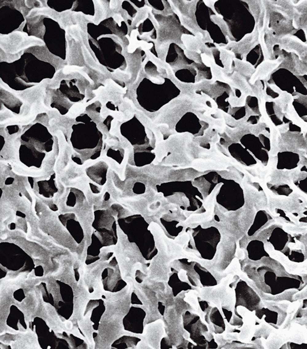Durapore Membranfilter hydrophob, 0,45 μm, 47 mm, 100 Stück