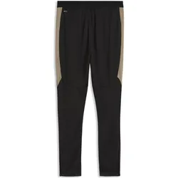 Puma, Herren, Sporthose, IndividualFINAL Training Pants (M), Weiss, Beige