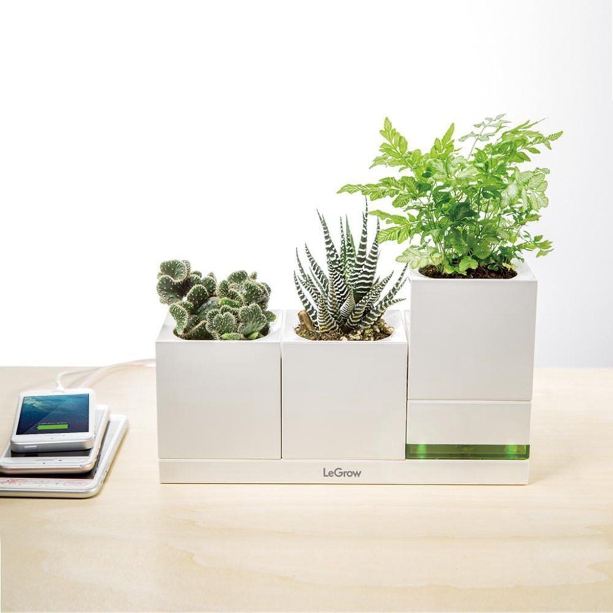 Designnest Plantenpot
