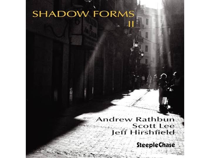Andy Rathbun Trio - Shadow Forms II