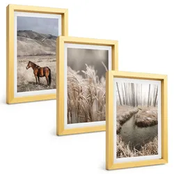BILDER SET 3er Set - 20x30 cm Goldrahmen - Pferde, Landschaft, Gras, Bach