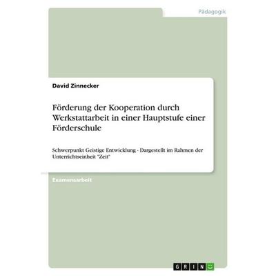 Förderung der Kooperation durch Werkstattarbeit in einer Hauptstufe einer Förderschule, Taschenbuch von David Zinnecker, GRIN, 978-3-640-26837-5