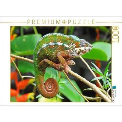 CALVENDO Puzzle Panther-Chamäleon in leuchtenden Farben | 1000 Teile Lege-Größe 64x48cm Foto-Puzzle für glückliche Stunden
