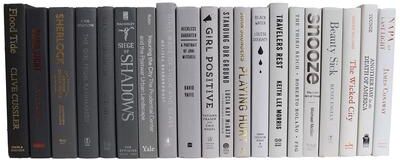 Booth & Williams Decorative Books - Grey Ombré Books - Books By The Foot