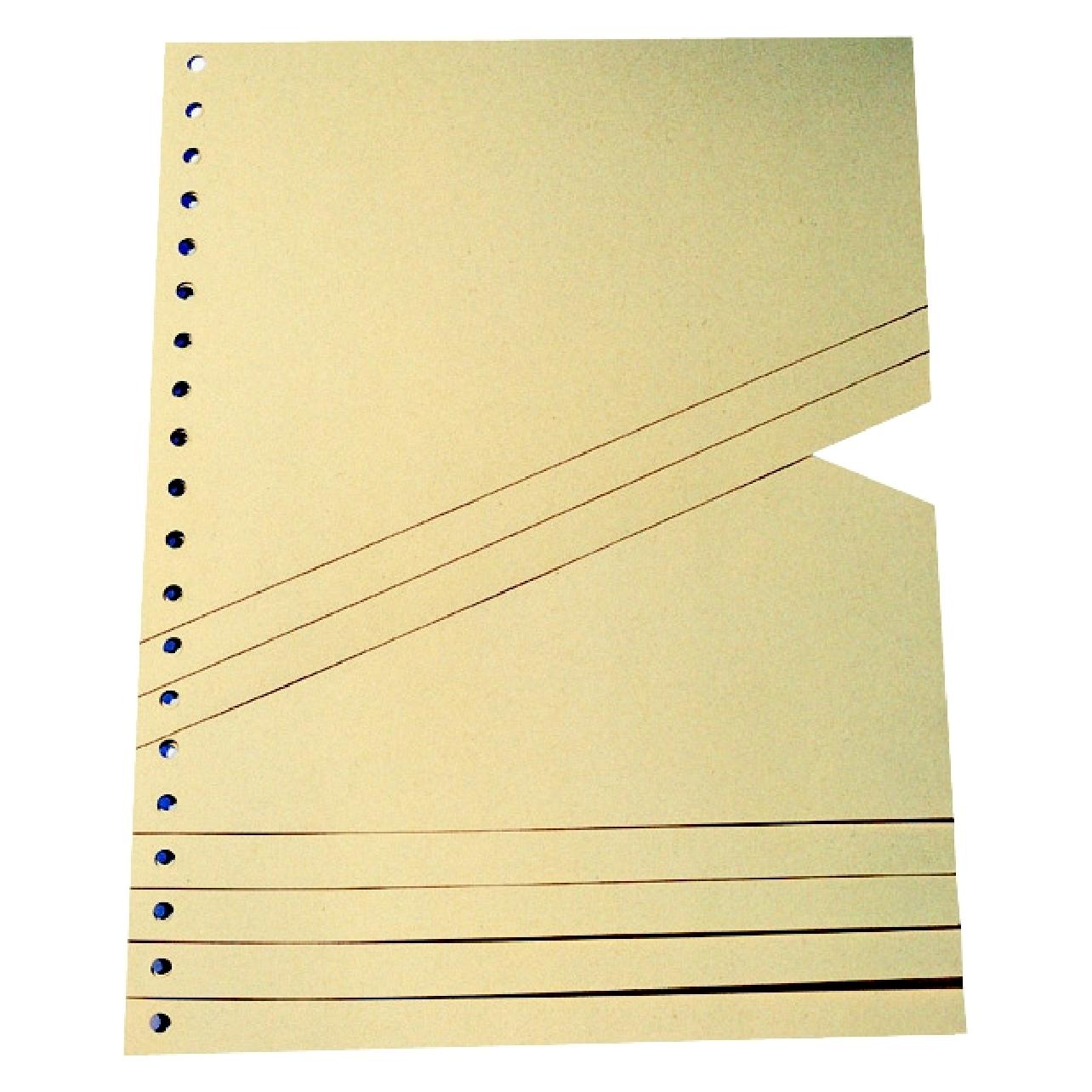 Schäfer Shop Staffeltrennblatt A4 100ST chamois (9591100100)
