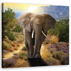 WANDBILD elefant bei sonnenuntergang