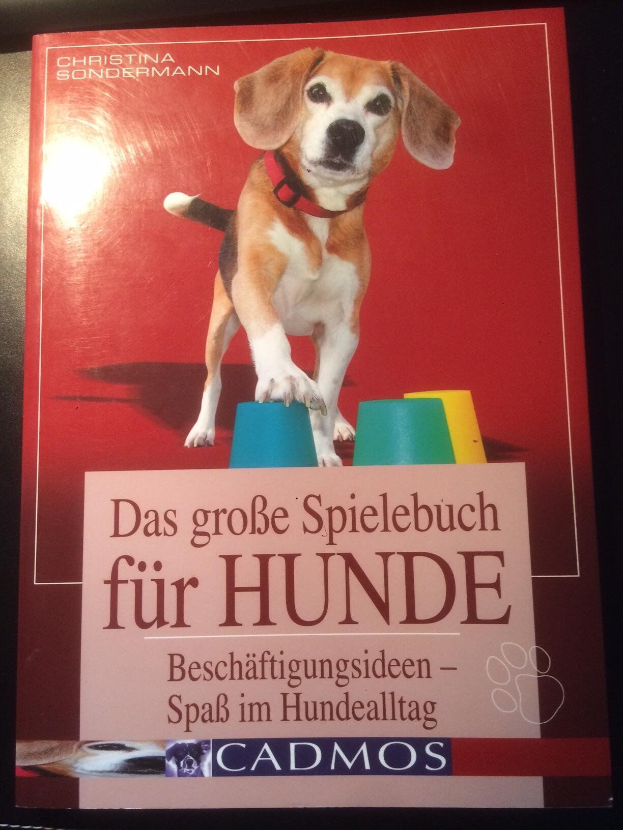 Christina Sondermann - Das große Spielebuch für Hunde: Beschäftigungsideen- Spaß im Hundealltag (Cadmos Hundebuch) - Preis vom 04.10.2026 03:51:26 h