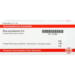 Rhus Toxicodendron D6 Ampullen 8 ML