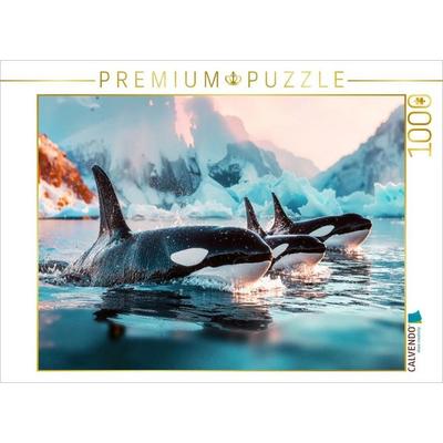 CALVENDO Puzzle Ist dies ein Wettschwimmen vor eisiger Kulisse? | 1000 Teile Lege-Größe 64x48cm Foto-Puzzle für glückliche Stunden