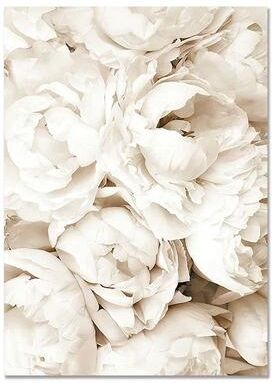 Uplift Picks Nordic Beach Canvas Wall Art Minimalist Shell Flower Prints Decor 06 30x40 Cm