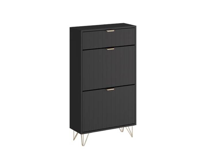 Vicco Schuhschrank Helge , Schwarz 60 x 107.5 cm 2 Fächer, zur Aufbewahrung von Schuhen und Accessoires geeignet