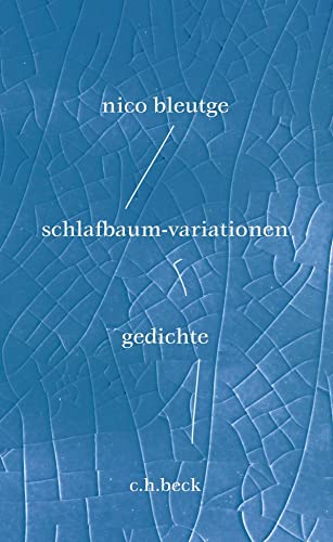 Einstein, Bohr, Heisenberg und das Innerste der Welt 1922-1932 - schlafbaum-variationen: gedichte: Fischer, Die Stunde der Physiker - Preis vom 09.10.2026 07:28:09 h