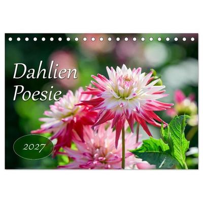 Dahlien Poesie (Tischkalender 2027 DIN A5 quer), CALVENDO Monatskalender
