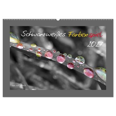 Schwarzweißes Farbenspiel 2027 (Wandkalender 2027 DIN A2 quer), CALVENDO Monatskalender