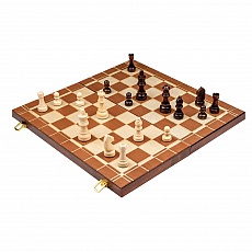 BG - Schach-Backgammon-Dame-Set - Feld 40 mm - Randbeschriftung 242167