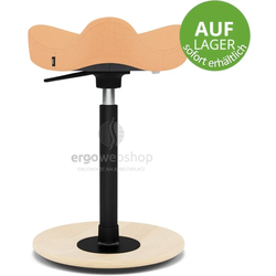 Varier Move Compact - Hocker / Stehhilfe sofort erhältlich (Revive...