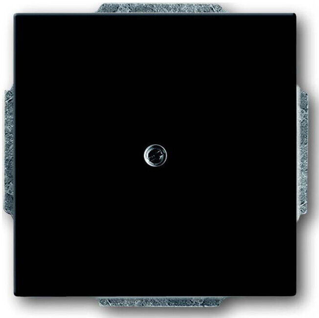 Busch-Jaeger Rosace centrale anthracite aveugle avec bague de support 1742-81 (2CKA001710A3612)