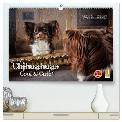 Chihuahuas - Cool and Cute (hochwertiger Premium Wandkalender 2026 DIN A2 quer), Kunstdruck in Hochglanz