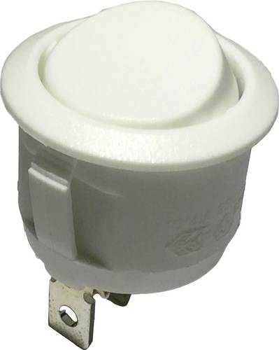 TRU COMPONENTS 700177 Wippschalter R13-112C W/W 250 V/AC 6A 1 x Ein/Ein rastend